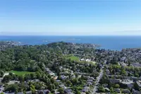 View 81