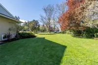 View 50