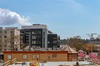 View 22