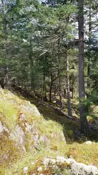 View 7