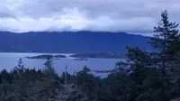 View 3