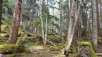 View 5