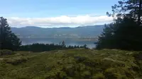 View 8