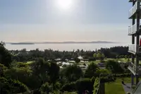 View 31