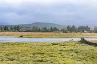 View 32