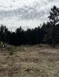 View 6