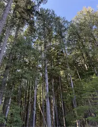 View 16