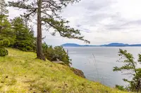 View 19