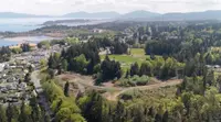 View 49