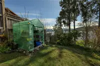 View 56