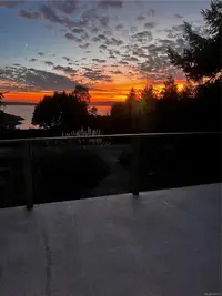 View 91