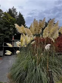 View 92
