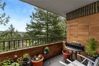 View 11