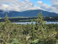 View 65