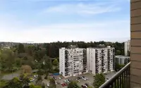 View 18