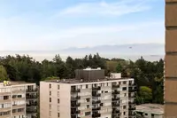 View 21