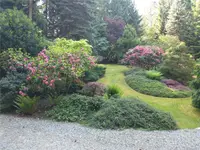 View 31