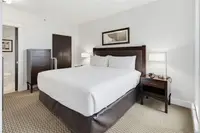 View 12