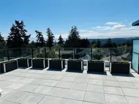 View 30