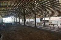 View 61