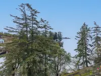 View 63