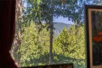 View 41