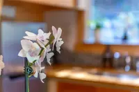 View 15