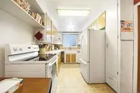 View 15
