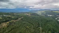 View 12