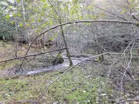 View 10