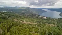 View 3