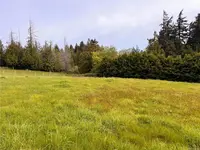View 4