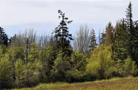 View 21