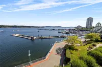View 50