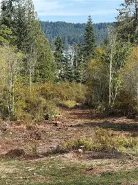 View 6