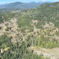 View 7