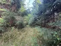 View 15