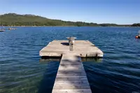 View 50