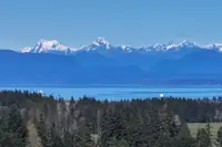 View 37