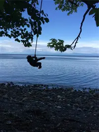 View 94
