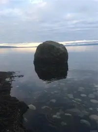 View 67