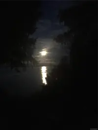 View 69