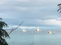 View 14