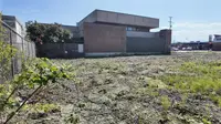 View 12