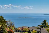 View 55
