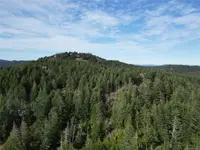 View 14