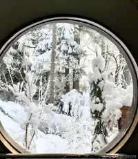 View 65