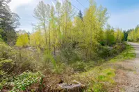 View 17