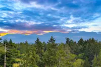 View 23