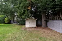 View 50